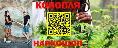 крисы Железногорск